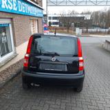 Fiat Panda 1.2 8V Dynamic" TÜV:NEU"GARANTIE" - gebrauchte Fiat Panda aus dem Jahr 2008