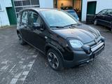 Fiat Panda Cross City Plus 1.0 GSE Hybrid - Fiat Panda: City Cross Plus