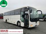 MAN R 07 Lions Coach/S515/Travego/Tourismo - Angebote