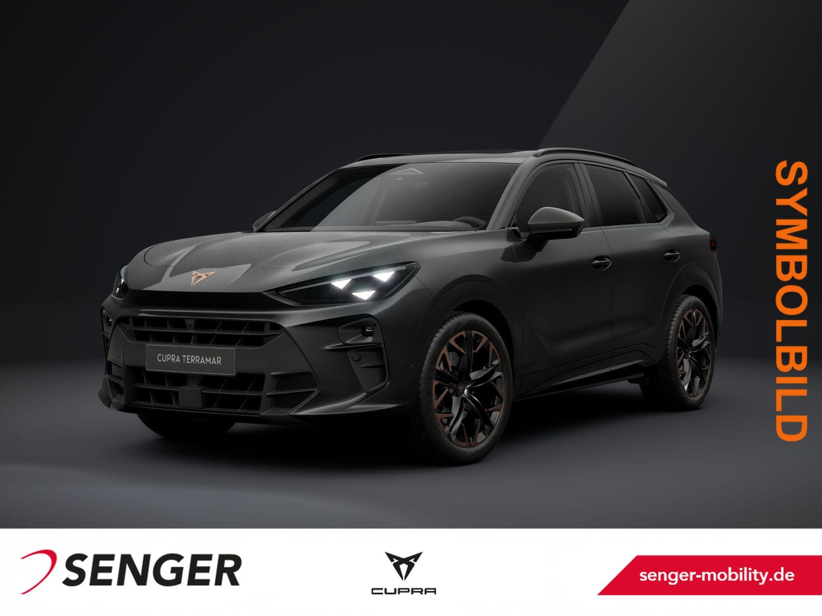 Cupra Terramar VZ 4Drive HD-Matrix PANO AHK Sennheiser