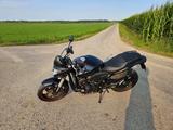 Honda gepflegte Hornet CB600 FA - HONDA CB600F