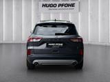 Ford Kuga Titanium 1.5 EB LED | GJR | RFK | SHZ | PDC - Ford Gebrauchtwagen von 2023