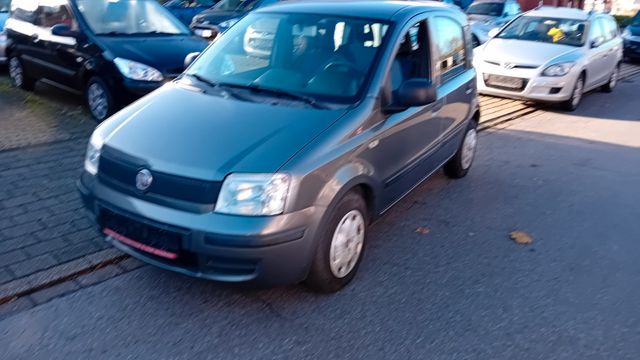 Fiat Panda 1.2 8V MyLive "Klima,Servo,E-Fenster"