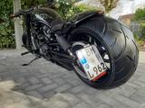 Harley-Davidson NIGHT ROD CUSTOM BLACK DOG