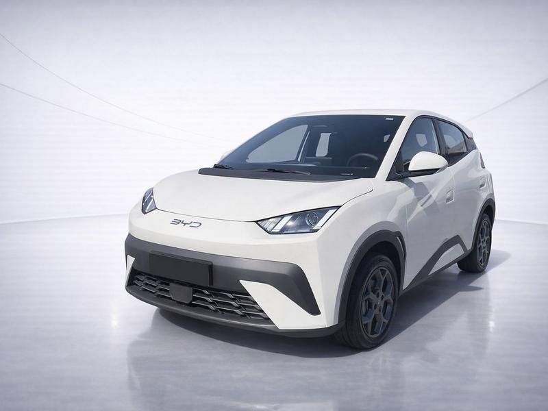 BYD DOLPHIN SURF