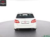 Mercedes-Benz B 180 AMG NIGHTFALL,KAMERA,TOTWINKEL,VOLLLEDER - Mercedes-Benz B 180: AMG