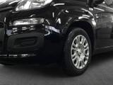 Fiat Panda 1.0 GSE Hybrid 51 kW, 5-türig - Fiat Panda: 5.5