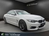 BMW 420i M Sport +1.HAND+H&K+MEMORY+NACKENHZG.+AHK - BMW 420: Cabrio