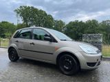 Ford Fiesta 2004 - Ford Fiesta: Gold