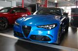 Alfa Romeo Giulia Quadrifoglio Kohlefaser/Sparco/Akrapo