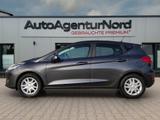 Ford Fiesta Trend Temp+Klima - Ford Fiesta: Grau