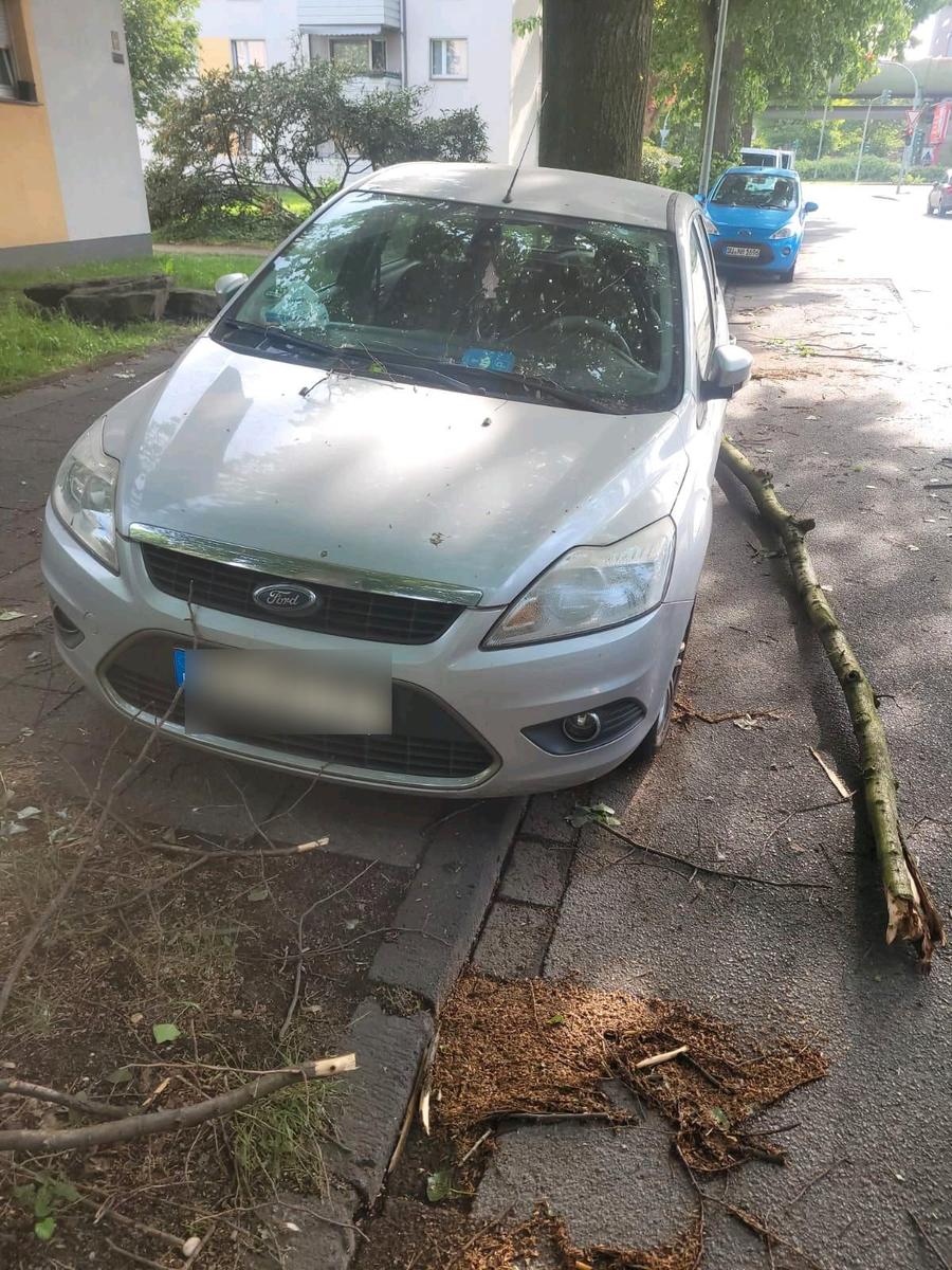 Ford Focus 2008 — photo 5