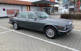 Jaguar Daimler Double Six V12, 1. Hand, nur 49.700 km - Jaguar Gebrauchtwagen von 1990