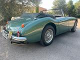Austin Healey 3000 MK3 BJ8 | 1967 | Oldtimer | T - Austin Healey: Bj8