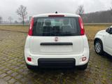 Fiat Panda Pandina Hybrid 1.0 GSE / Klima, Tempomat,  - Fiat Panda in Chemnitz