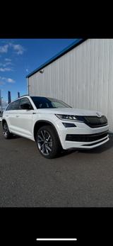 Skoda Kodiaq 2.0 TSI DSG 4x4 SPORTLINE PANO, AHK etc. - Skoda Kodiaq: Sportline