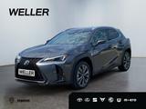 Lexus UX 300h F SPORT Design *LED*Kamera*Leder*SHZ*PDC - Lexus UX Tageszulassungen