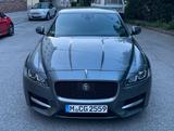 Jaguar XF R-Sport X260 - Jaguar XF in München