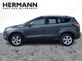 Ford Kuga 1.5 EcoBoost Titanium AHK*LED*NAVI*SHZ*SYNC - Ford Kuga mit Anhängerkupplung