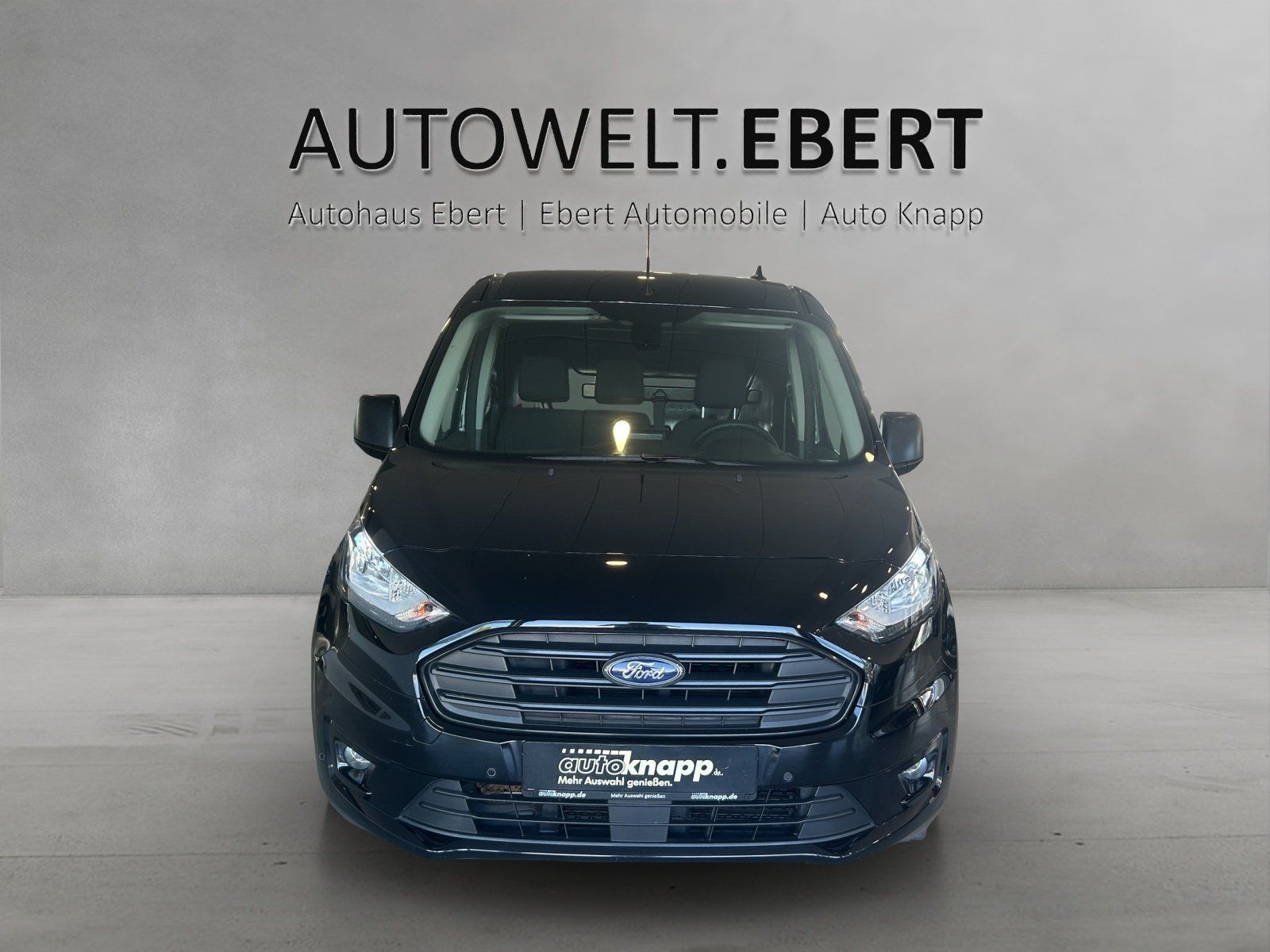 Fahrzeugabbildung Ford FORD Transit Connect 210 L2 S&S