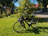 Other Velosolex 3800 - Offers