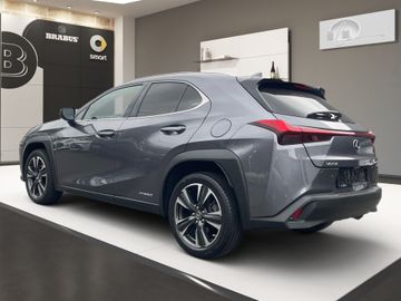 Lexus UX - 6