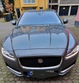 Jaguar jaguar xf 3.0 diesel - Jaguar XF aus 2015