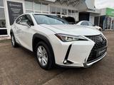 Lexus UX 250h Style LED+Kam+Smartlink+PDC+Alu - Lexus UX: Automatik
