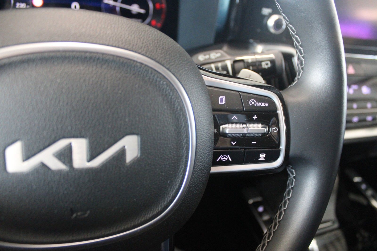 Fahrzeugabbildung Kia Sorento 2.2 CRDi AWD Aut. Spirit LED CAM Leder