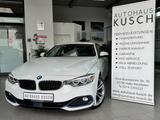 BMW 420i GRAN COUPE+SPORT LINE+NAVI+ABSTEMPO+PARK-AS - BMW 4 Series: Gran