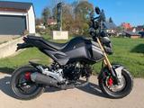 Honda MSX GROM - Kd neu - Heckumbau - HONDA MSX