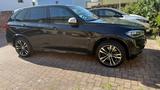 BMW X5 M50 M50d - - BMW X5 M50: 50d