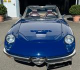 Alfa Romeo Spider - Alfa Romeo Gebrauchtwagen von 1977