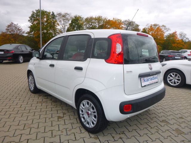 Fahrzeugabbildung Fiat Panda 1,2 8V Easy >Sitzheiz/Einparkhilfe<