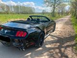 Ford Mustang 3,7l V6 TOP  4Rohr Grail Klappen neu  - Ford Mustang: Cabrio, V6