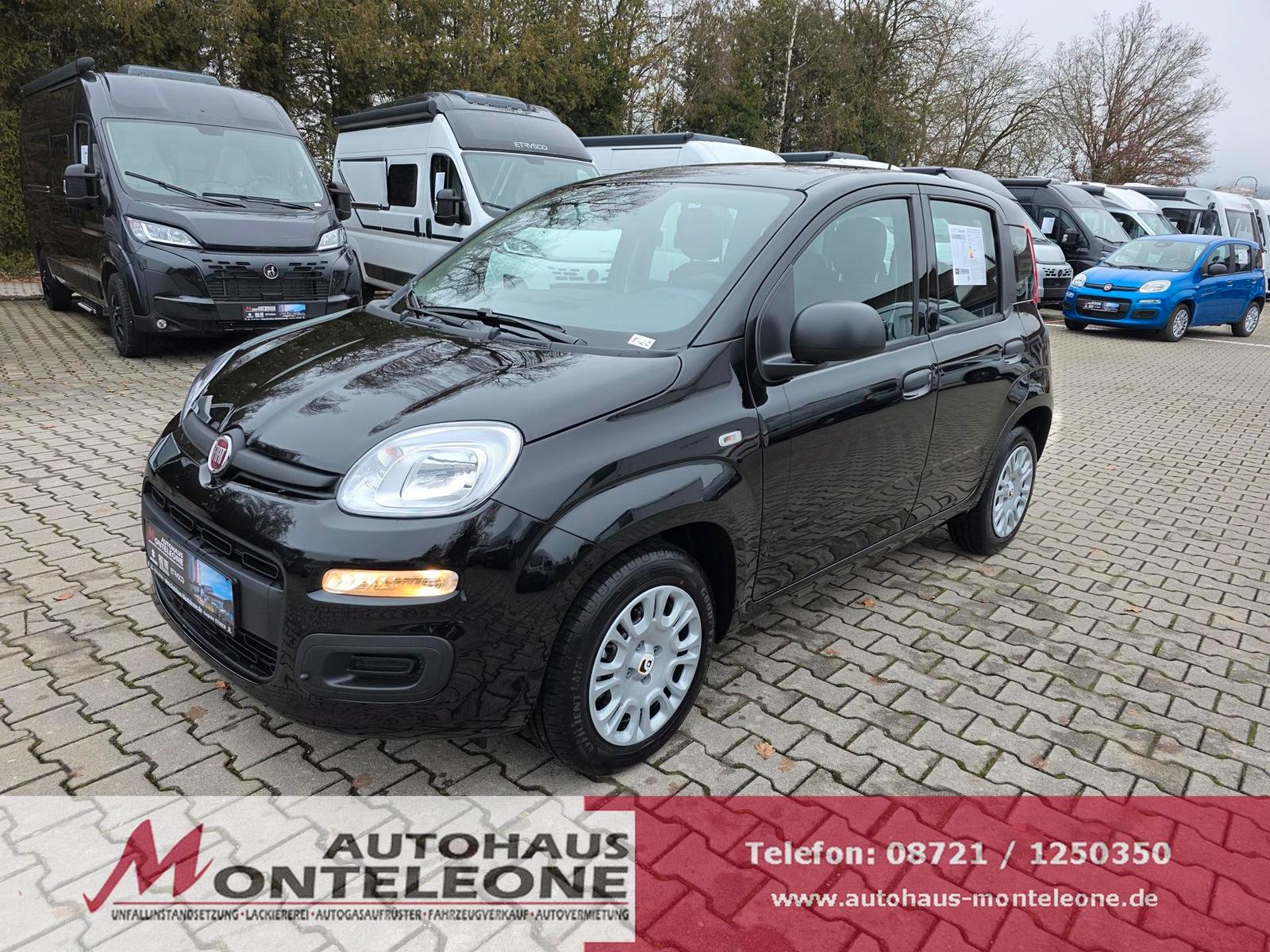 Fiat Panda MY25 Pandina ICON Hybrid | PDC | 5Sitze