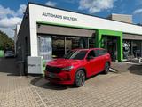 Skoda Kodiaq  4x4 Sportline LED NAVI - Skoda Gebrauchtwagen in Ratingen