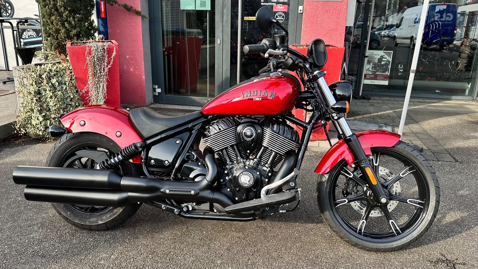 Indian Chief Dark Horse
