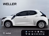 Toyota Yaris 1.0 Comfort *ACC*CAM*CarPlay*Spurhalteass* - Toyota Yaris mit Benzin-Antrieb: Kleinwagen