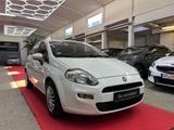 Fiat Punto My Punto*TÜV NEU*RFK*KLIMA* - Fiat Punto Gebrauchtwagen in Stuttgart