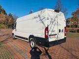 Fiat Ducato Maxi Grossr.-Kasten 35 140 L5H2 RS: 4035 - Fiat Ducato: L4h3
