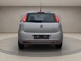 Fiat Punto 1.2 8V POP KLIMA ELEKTR.FENSTERH.ZENTRALVE - Fiat Punto Gebrauchtwagen