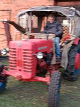IHC Kormick 326 - IHC Gebraucht