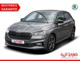 Skoda Fabia 1.0 TSI DSG Monte Carlo LED Navi ACC DAB - Skoda Fabia: Grau, Beheizbares Lenkrad, mit Klimaautomatik