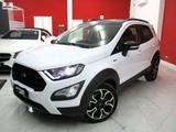 Ford FORD EcoSport 1.0 EcoB.125cv ACTIVE-2021 KM75000 - Ford: F750