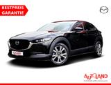 Mazda CX-30 2.0 SKYACTIV-G Kamera Navi Head-Up LED ACC - gebrauchte Mazda CX-30 aus dem Jahr 2020