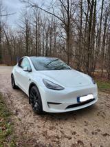 Tesla Model Y Performance Dual Motor AWD Performance - Tesla Gebrauchtwagen in Bielefeld