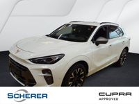 Cupra Terramar - Vorschau Bild 1