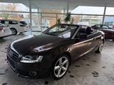 Audi A5 Cabriolet 2.0 TDI 1.Hand  S-Line Leder Navi - Audi A5 aus 2011: Line