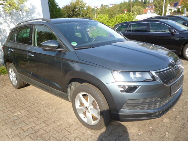 Skoda Karoq Ambition PDC Climatronic SHZ Nebel